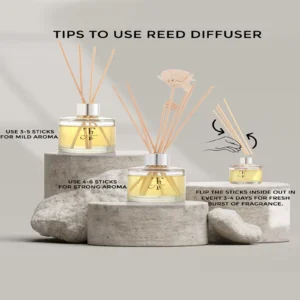 Spicy GingerBread Reed Diffuser